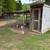 Chicken coop 5 thumbnail