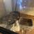 Big ball python and complete set up 1 thumbnail
