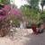 House for Rent 5 thumbnail
