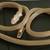 New Snake Flexible Necklace/Bracelet 1 thumbnail