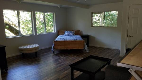 $1,550 / 500ft2 - $1,550 - Spacious Studio in the treetops of Forestville! (russian river)63785477286017122
