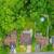 SECTION 8 Welcome! # Beautiful 3 Bed Room House 3 thumbnail