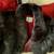 Beautiful KAMAL  Full Length Black Rabbit Natural Fur Coat 19 thumbnail