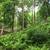 Live in this Beautiful Private 3 Bdrm Tree House Dec 2026 - Feb 2027 13 thumbnail