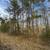 🏡 1.42 Acre Build-Ready Lot – Trinity, NC – Permits & Utilities Ready 7 thumbnail