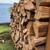 Dry Firewood Fir Maple Alder Cherry Quarter Half Cords Hardwood 4 thumbnail