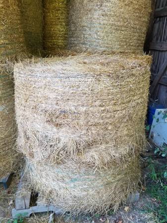 Round bales 1