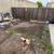Junk Deck Pergola Shed Spa Demolition, Fast Work Fair Prices 18 thumbnail