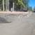 RRM Landscaping, LLC & yard maintenance 1 thumbnail