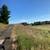 Brush cutting,clearing/mulching. Excavator. Fire prevention. 11 thumbnail