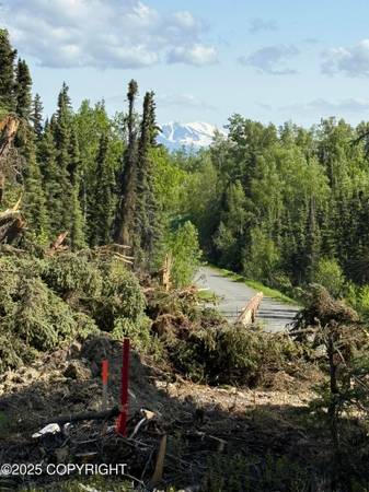 $77,000 Mountain view Land (Sterling)64163337554947122