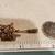 Small Pins - Birds, Bugs, Turtle 9 thumbnail