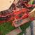 1964 CASE Tractor w/ Loader & Brush Hog 12 thumbnail
