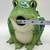 Jim Shore 2015 Outdoor Living Frog Birdhouse Resin w Chain NWT Retired 14 thumbnail
