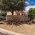Expansive walk-out balcony/patio with storage, Washer and Dryer* 7 thumbnail