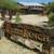 Escape the Heat! C.O.D. Ranch*Hike*Bike*Ride*Oracle State Park+Zipline 3 thumbnail