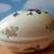 vintage Lefton NE2209 Egg Shape Trinket Box . Woodland Violets 3 thumbnail
