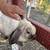 Holland Lop and Netherland Dwarf Rabbits 3 thumbnail