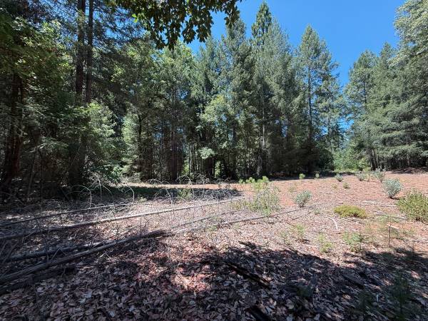 $269,000 78.13 Forested Mostly Usable Acres Above Nevada City (Nevada City)63952105306114124