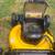 DeWalt 20V lawn mower 7 thumbnail