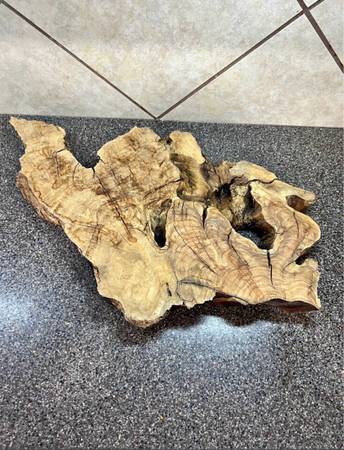Wood Slab with Live edge