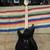 Ibanez Gio Electric Guitar 2 thumbnail