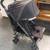 Stroller 3 thumbnail