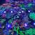 reef coral SPS, LPS, Zoas 9 thumbnail