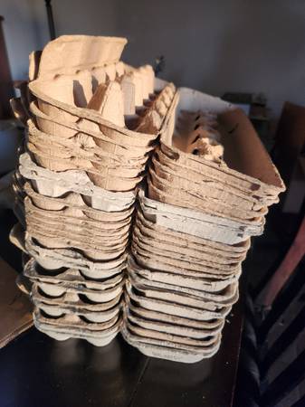 Egg Cartons - Clean 1