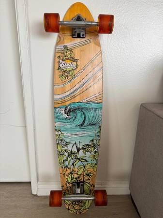 Stella Longboard Skateboard 1