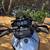 Suzuki Vstrom 650 6 thumbnail