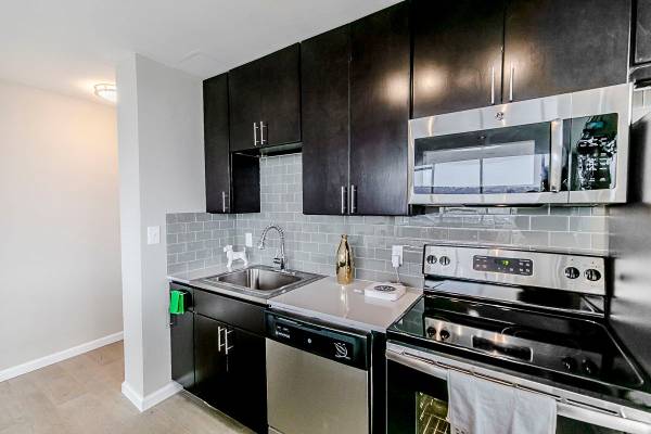 2B/1B, Rooftop Deck, in Pittsburgh PA 1