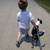 pitt terrier 2 thumbnail
