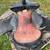 Saddles w/saddle pads 8 thumbnail
