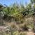 Craftsman Cottage House with Jet Tub In Garden Setting 4 thumbnail