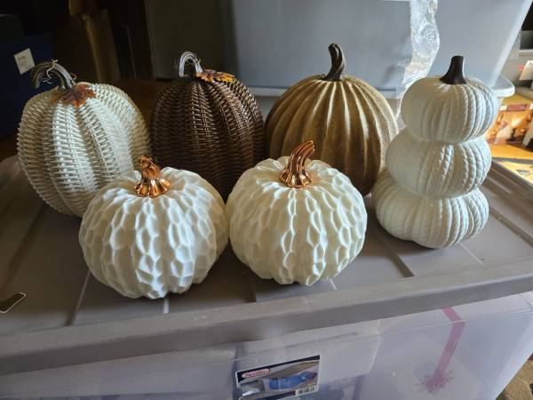 Pumpkins 1