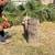 Tree cutter 3 thumbnail