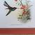 Framed hummingbirds prints set of 2 5 thumbnail