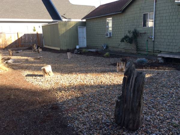 $1,650 / 1br - 700ft2 - $1650 / 1Br - 700ft. CERCA DE BUSH PARK, CENTRO Y CAPITOLIO DEL ESTADO (1137 12th Street SE Salem, OR)63660413093249122