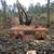 LOGGING , VEIW CLEARING , LAND CLEARING , EXCAVATOR WORK 6 thumbnail