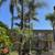 1st Mo FREE! Spacious bottom floor unit with walk-in closet & A/C #21 4 thumbnail