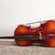Alais Cello 3 thumbnail