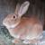 Narrow Gate Rabbitry - Pedigreed Standard Rex Rabbits 5 thumbnail