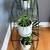 Vintage MCM Atomic Round Black Metal Plant Stand, 5 Plants White Pots 10 thumbnail