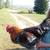 Rooster Drop off 3 thumbnail
