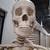 Life- Size Skeleton with Sturdy stand 5 thumbnail