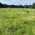 Pasture to cut for hay 1 thumbnail