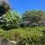 Mid-century home near La Jolla Cove...Location, Location, Location! 17 thumbnail