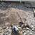 #HARDSCAPING &  CONTRACTOR 6 thumbnail