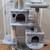 Cat Tree 1 thumbnail